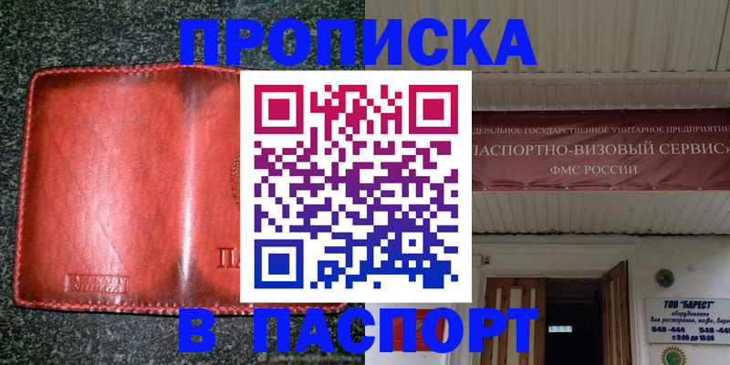 временная прописка в Котово